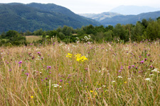 Romania-Transylvania-Carpathian History & Nature Ride